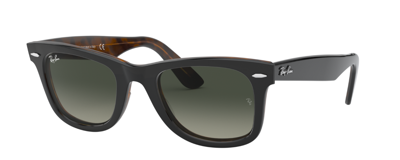 Ray-Ban Wayfarer black sunglasses